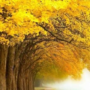 Meet your Posher, Anitra